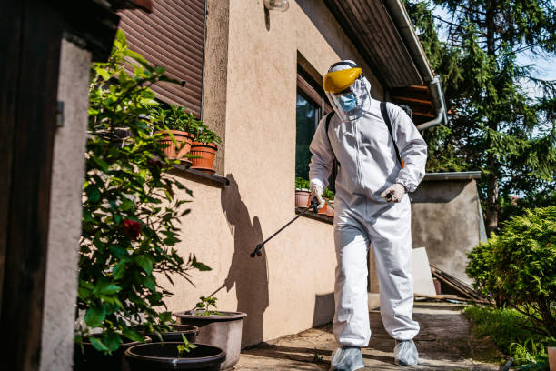 Professional Pest Control in Chatfield, MN
