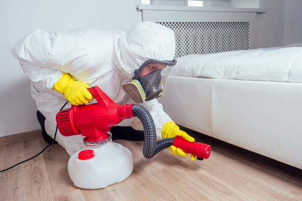 Best Best Pest Control Companies  in Chatfield, MN