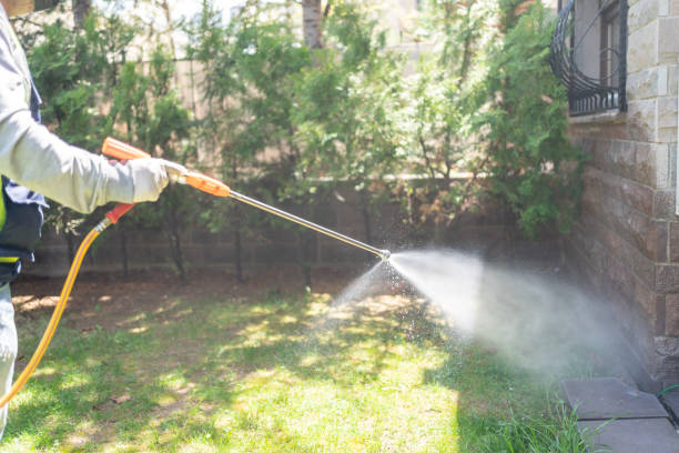 Best Flea Control Services  in Chatfield, MN