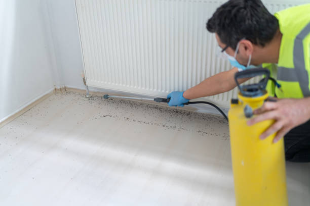 Best Pest Control for Businesses  in Chatfield, MN