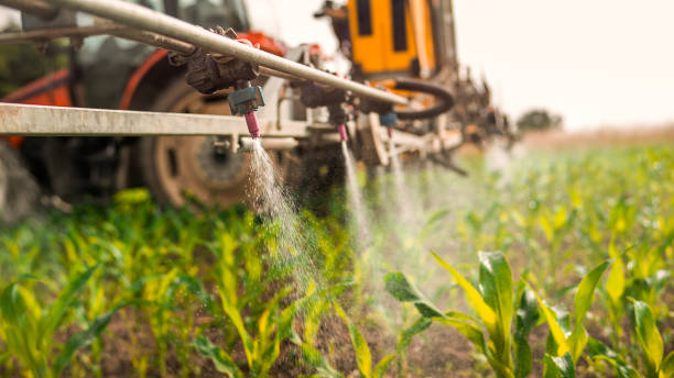 Best Local Pest Control Services  in Chatfield, MN