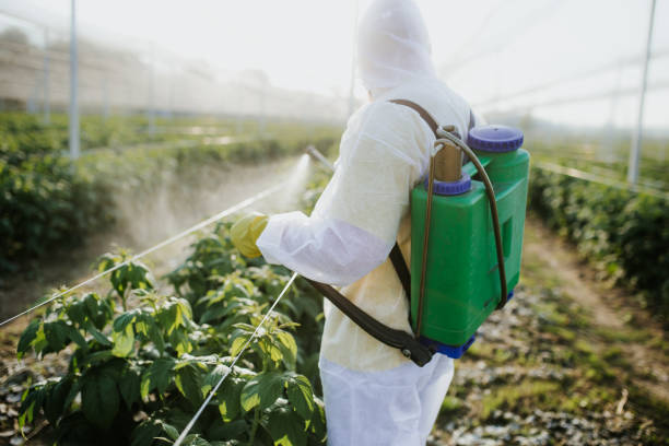 Best Best Pest Control Companies  in Chatfield, MN